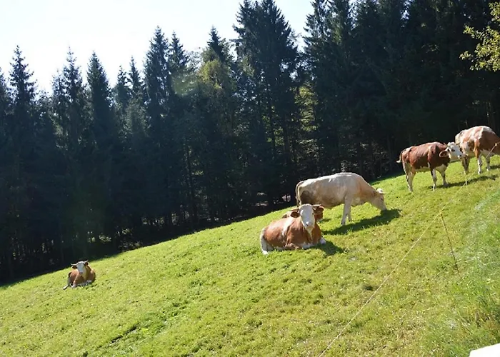 Horská chata Holzhaus *