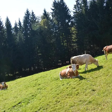 Σαλέ Holzhaus *